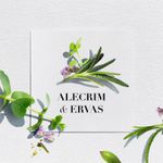 Condicionador-Herbal-Essences-Bio-Renew-Alecrim-Ervas-400ml
