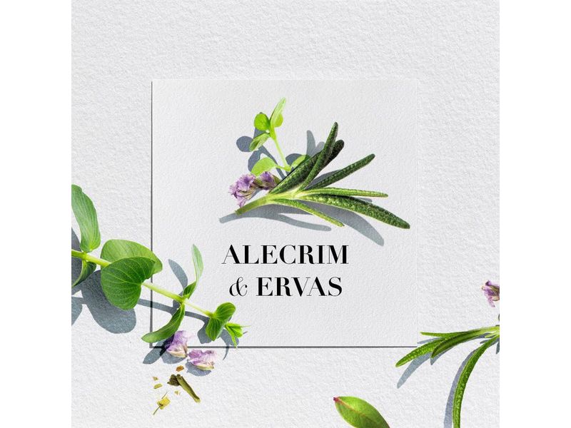 Condicionador-Herbal-Essences-Bio-Renew-Alecrim-Ervas-400ml