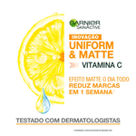 Hidratante-Facial-Garnier-SkinActive-Efeito-Matte-FPS30-40g