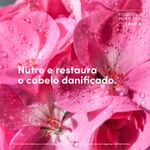 Condicionador Dove Poder das Plantas Nutrição+Gerânio 300ml