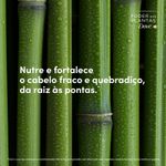 Condicionador Dove Poder das Plantas Força + Bambu 300ml