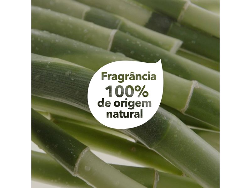 Shampoo-Dove-Poder-das-Plantas-Forca---Bambu-300ml