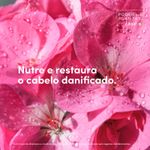 Shampoo-Dove-Poder-das-Plantas-Nutricao---Geranio-300ml