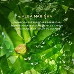 Condicionador Pantene Equilíbrio Raiz E Pontas 250ml