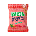 pastilha-valda-friends-sem-acucar-sabor-canela-mentolada-25g-farmacia-online-drogal