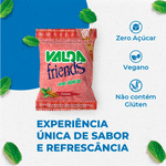 pastilha-valda-friends-sem-acucar-sabor-canela-mentolada-25g-farmacia-online-drogal