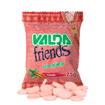 pastilha-valda-friends-sem-acucar-sabor-canela-mentolada-25g-farmacia-online-drogal