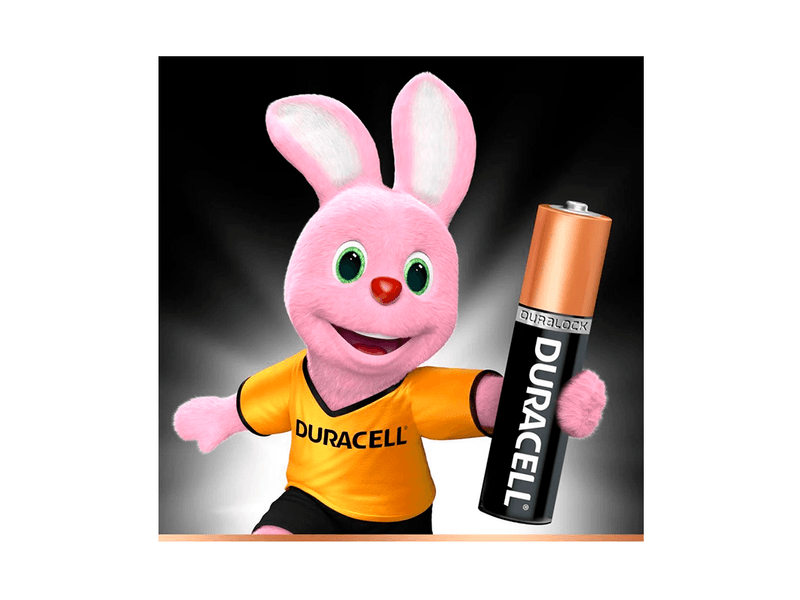 Pilha-Duracell-AA-Alcalina-4-Unidades