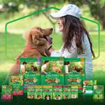 Petisco-Caes-Adultos-Dog-Chow-Purina-Mix-de-Frutas-75g