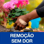 Curativo-Nexcare-Duo-Tamanhos-Sortidos-10-Unidades