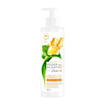 condicionador-dove-poder-das-plantas-purificacao-gengibre-300ml-farmacia-online-drogal