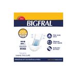 Fralda-Para-Incontinencia-Bigfral-Plus-P-10-unidades