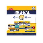 Fralda-Geriatrica-Bigfral-Plus-XG-7-Unidades