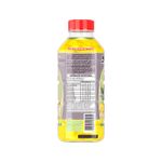 suplemento-alimentar-de-eletrolitos-sorox-sabor-abacaxi-com-hortela-550ml-farmacia-online-drogal