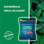 goma-de-mascar-valda-friends-gum-sabor-mentol-eucaliptol-12g-farmacia-online-drogal