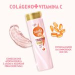 shampoo-seda-nina-secrets-colageno-vitamina-c-325ml-farmacia-online-drogal