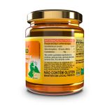 composto-de-mel-apiguaco-apis-flora-sabor-mel-com-propolis-e-guaco-300g-farmacia-online-drogal