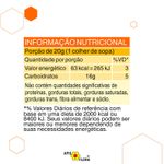 composto-de-mel-apiguaco-apis-flora-sabor-mel-com-propolis-e-guaco-300g-farmacia-online-drogal