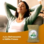 pastilha-valda-classic-sabor-mentol-eucaliptol-e-timol-12g-farmacia-online-drogal