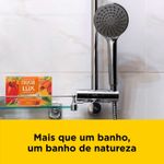 sabonete-em-barra-lux-essencias-do-brasil-flor-do-cajueiro-100g-farmacia-online-drogal