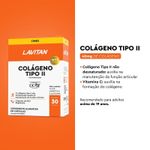 suplemento-alimentar-lavitan-colageno-tipo-ii-30-capsulas-farmacia-online-drogal