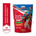 propomax-kids-gomas-de-propolis-sabor-morango-40g-farmacia-online-drogal