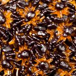 bala-de-gelatina-fini-aranha-80g-farmacia-online-drogal