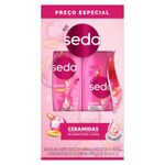 kit-shampoo-ceramidas-seda-300ml-condicionado-seda-ceramidas-190ml-farmacia-online-drogal