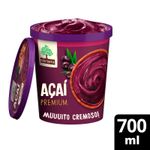 sorvete-de-acai-com-guarana-mae-terra-acai-premium-700ml-farmacia-online-drogal