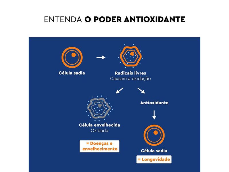 suplemento-alimentar-lavitan-bio-coplex-multivitaminico-antioxidante-30-comprimidos-farmacia-online-drogal
