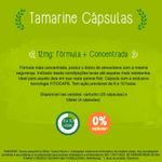 suplemento-alimentar-tamarine-dual-fit-sabor-tangerina-pessego-e-cha-branco-400ml-farmacia-online-drogal