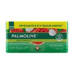 kit-sabonete-em-barra-palmolive-naturals-hidratacao-refrescante-melancia-lichia-6-unidades-de-85g-cada-farmacia-online-drogal