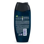 sabonete-liquido-antibacteriano-para-corpo-protex-men-energy-250ml-farmacia-online-drogal