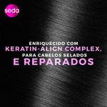 mascara-de-tratamento-seda-liso-perfeito-300g-farnacia-online-drogal
