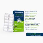 fumagum-4mg-sabor-menta-36-gomas-mastigaveis-farmacia-online-drogal