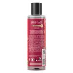 sabonete-liquido-lux-botanicals-essencias-do-brasil-bromelia-300ml-farmacia-online-drogal