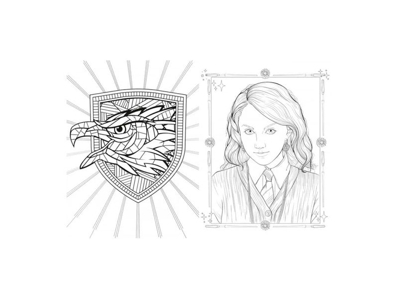 002-livro-harrypotter-corvinal-5-canetas-coloridas-magicart-farmacia-online-drogal