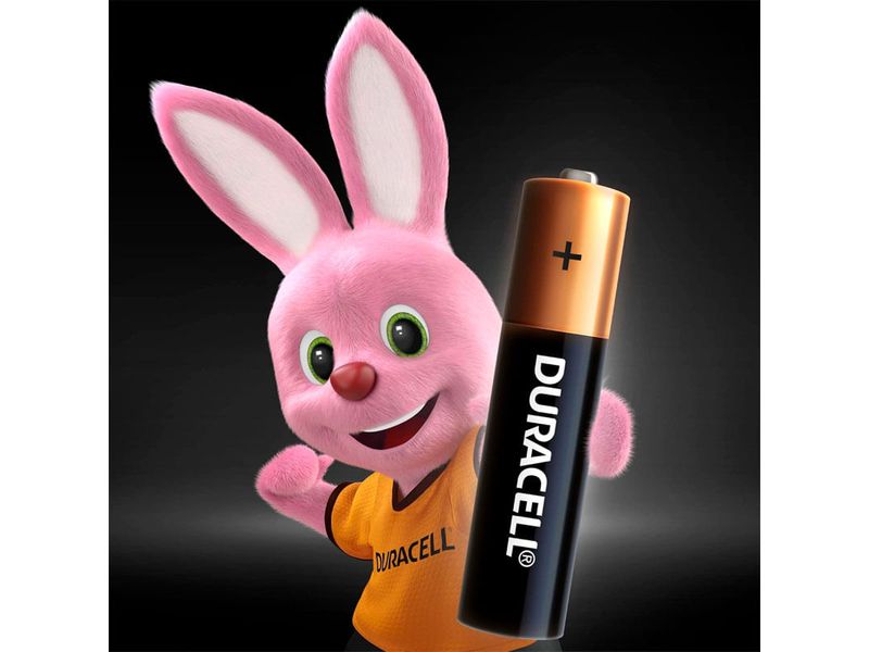 005-pilha-duracell-alc-aaa-pal-2u-farmacia-online-drogal