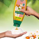 006-sabonete-liquido-para-o-corpo-palmolivre-naturals-camelia-e-oleo-de-amendoas-650ml-farmacia-online-drogal