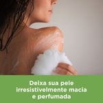 004-sabonete-em-barra-lux-botanicals-rosas-francesas-85g-farmacia-online-drogal