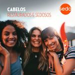 004-shampoo-seda-restauracao-instantanea-325ml-farmacia-drogal-online