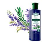 002-shampoo-flores-e-vegetais-blond-violeta-matizante-310ml-farmacia-online-drogal