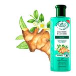 001-shampoo-flores-e-vegetais-detox-cha-verde-e-gengibre-310ml-farmacia-online-drogal