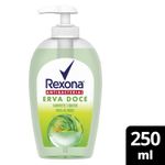 sabonete-liquido-antibacterial-para-as-maos-rexona-erva-doce-250ml-farmacia-online-drogal