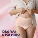 004-calcinha-descartavel-plenitud-escapes-de-urina-moderados-g-xg-16-unidades-farmacia-drogal-online