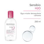 001-solucao-micelar-bioderma-sensibio-h2o-250ml-farmacia-drogal-online