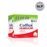 002-conflex-muscular-sabor-laranja-30-saches-com-12g-cada-farmacia-drogal-online